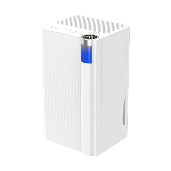 Dehumidifier for Room, Water Tank, 2L Water Tank, 24H Timer, Child Lock, Dehumidifier for Indoor Use
